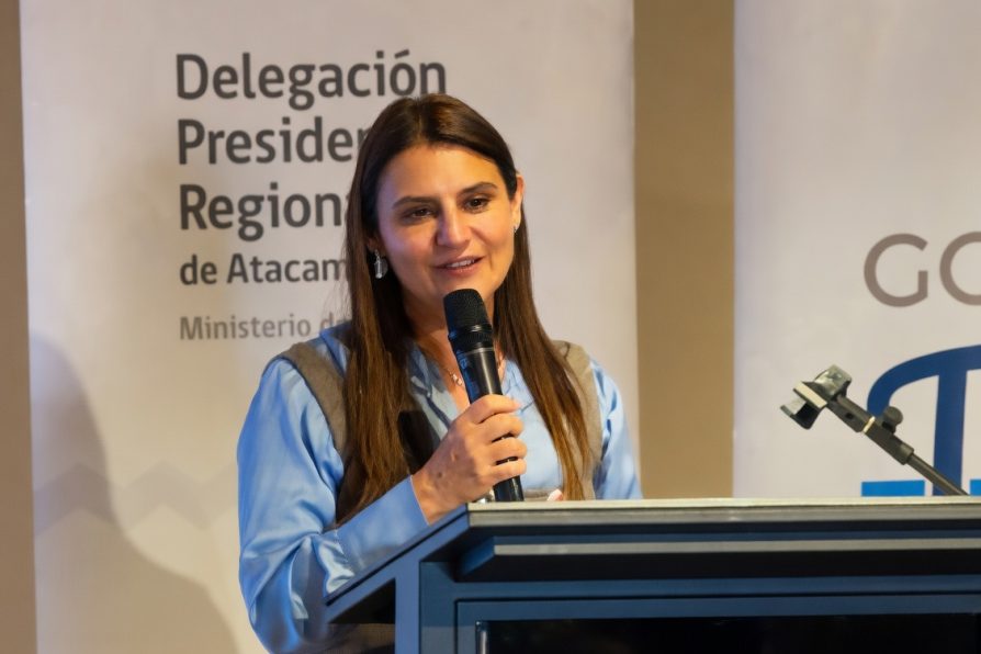 Delegada Presidencial Sofía Cid hace un llamado a las organizaciones sociales a postular al Fondo Social Presidente de la República