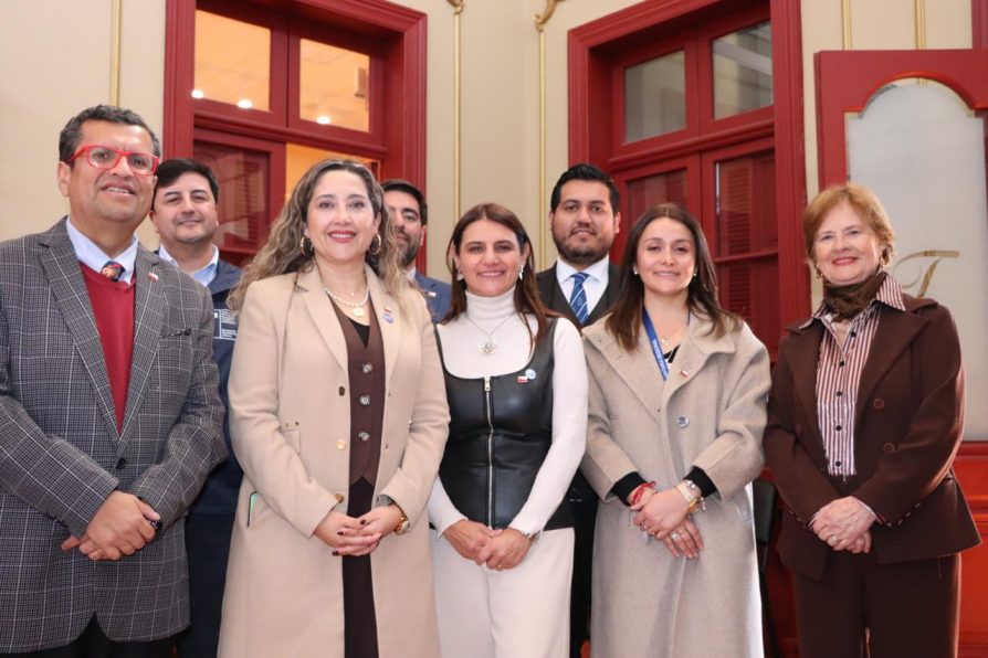Atacama avanza en articulación interinstitucional para la protección de la infancia y adolescencia