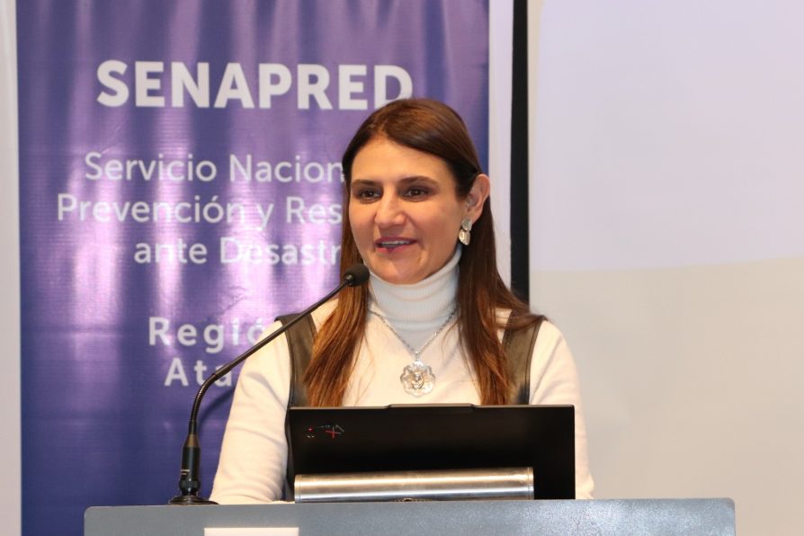 Delegada Sofía Cid refuerza despliegue preventivo en Atacama ante sistema frontal y coordina acciones con municipios y servicios públicos