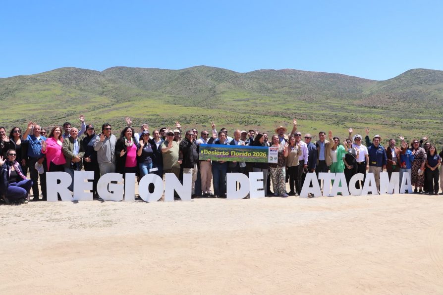 Región de Atacama lanza oficialmente la temporada del desierto florido 2026 en Freirina